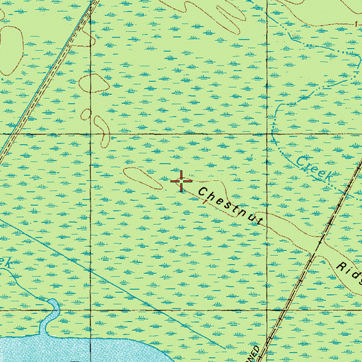 Topographic Map of Chestnut Ridge, NC