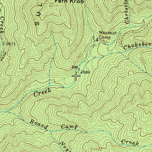 Topographic Map of Chokeberry Branch, NC