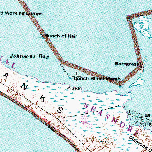 Topographic Map of Conch Shoal Marsh, NC