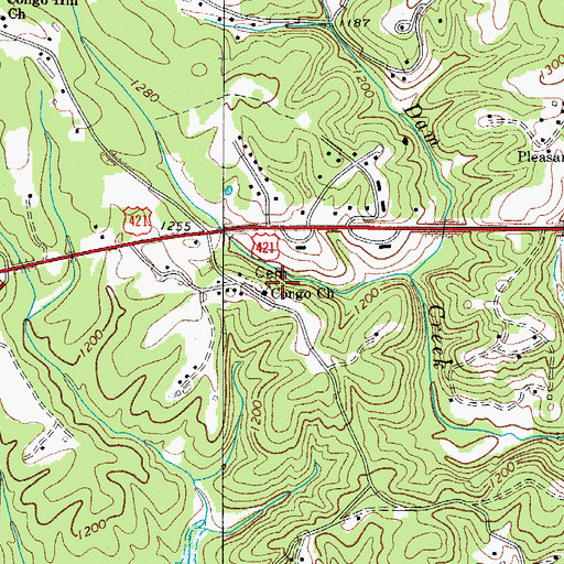 Topographic Map of Congo Church, NC