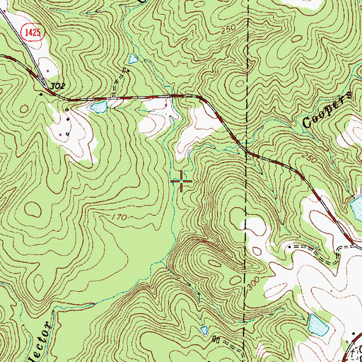 Topographic Map of Coopers Branch, NC
