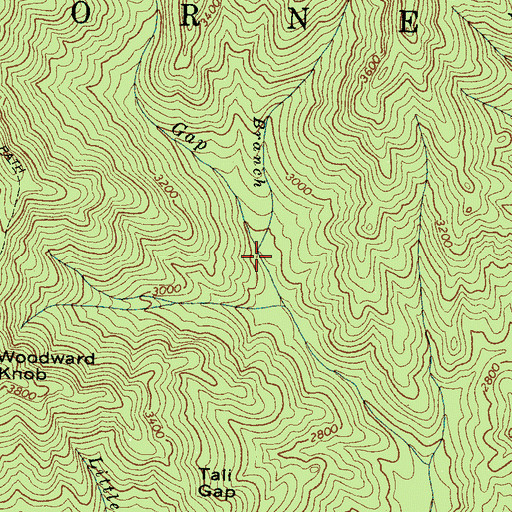 Topographic Map of Cope Branch, NC