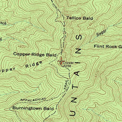 Topographic Map of Copper Ridge Bald, NC