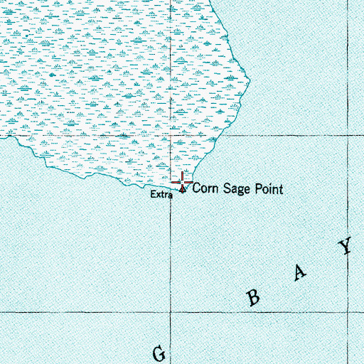 Topographic Map of Corn Sage Point, NC