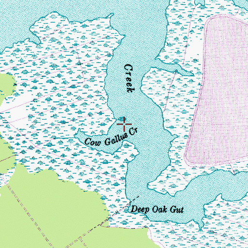 Topographic Map of Cow Gallus Creek, NC