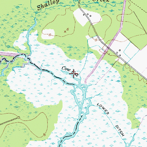Topographic Map of Cow Gut, NC