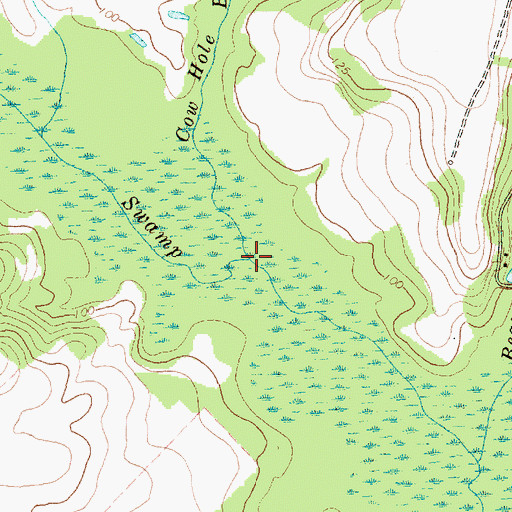 Topographic Map of Cow Hole Branch, NC