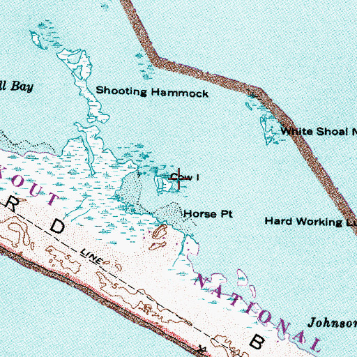 Topographic Map of Cow Island, NC