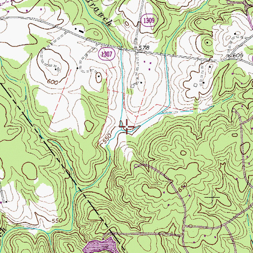 Topographic Map of Cowhorn Branch, NC