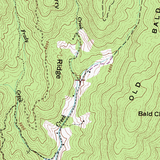 Topographic Map of Craig Creek, NC