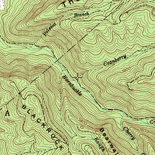 Topographic Map of Cranberry Creek, NC