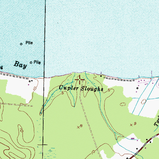 Topographic Map of Cupler Sloughs, NC