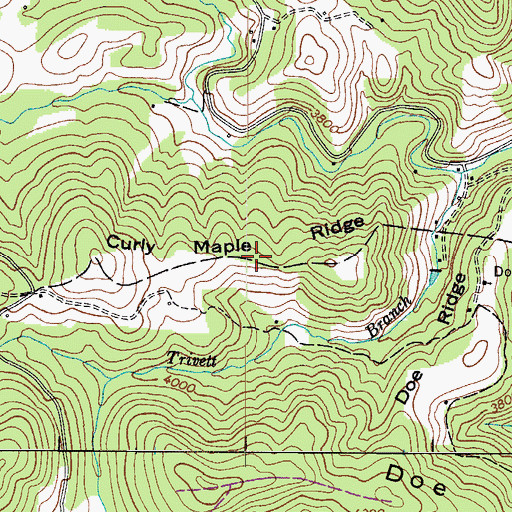 Topographic Map of Curly Mapel Ridge, NC
