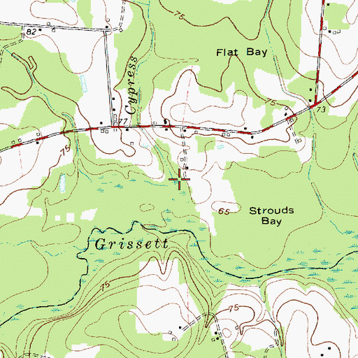 Topographic Map of Cypress Branch, NC