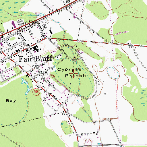 Topographic Map of Cypress Branch, NC