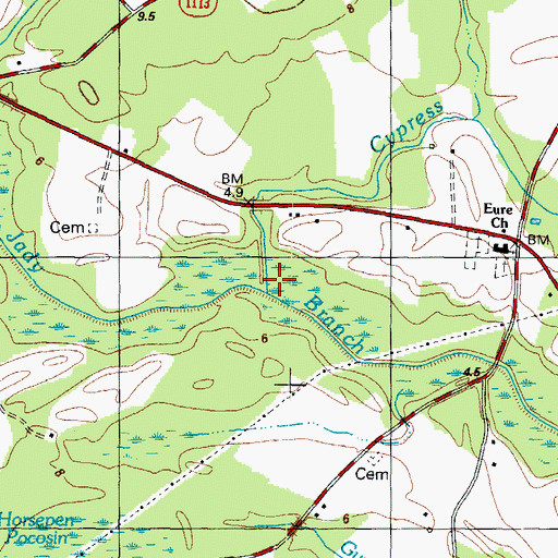 Topographic Map of Cypress Swamp, NC