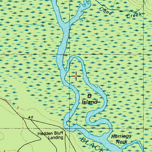 Topographic Map of D Island, NC