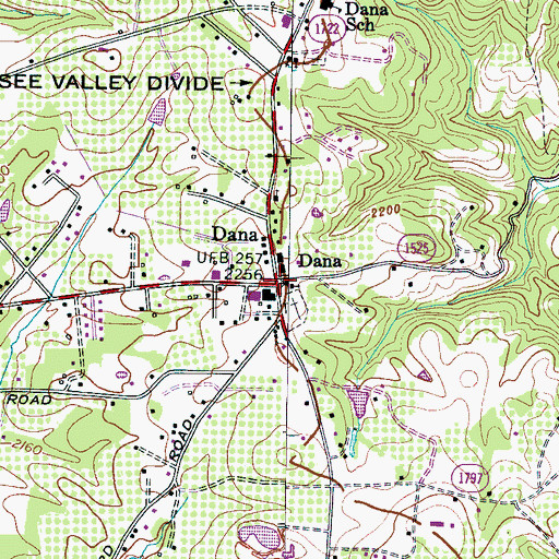 Topographic Map of Dana, NC