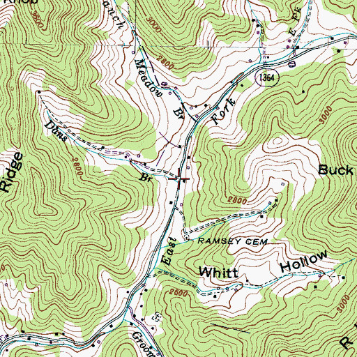 Topographic Map of Dans Branch, NC
