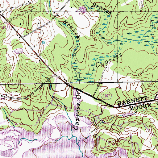 Topographic Map of Deep Branch, NC