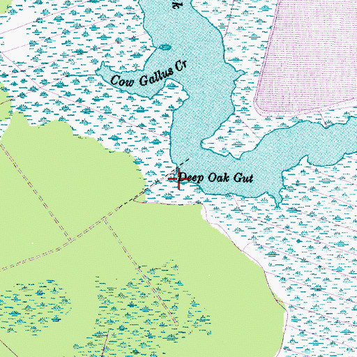Topographic Map of Deep Oak Gut, NC