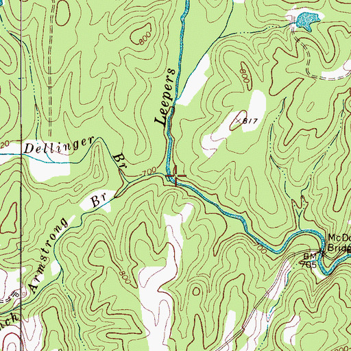 Topographic Map of Dellinger Branch, NC