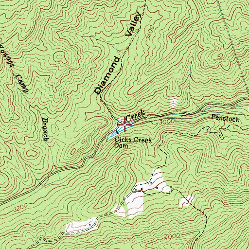Topographic Map of Diamond Valley, NC