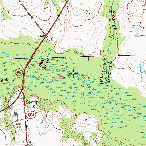 Topographic Map of Dicks Branch, NC