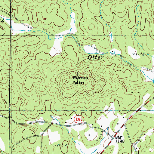 Topographic Map of Dicks Mountain, NC