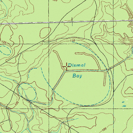 Topographic Map of Dismal Bay, NC