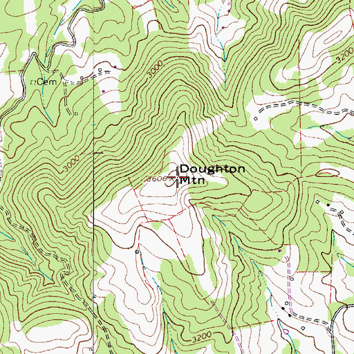 Topographic Map of Doughton Mountain, NC