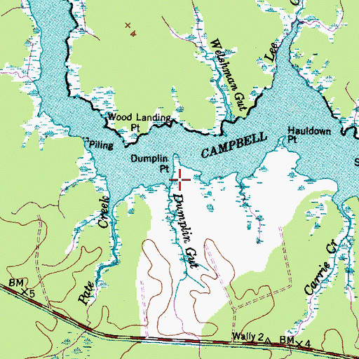 Topographic Map of Dumplin Gut, NC