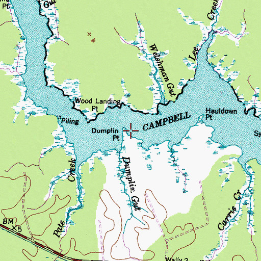 Topographic Map of Dumplin Point, NC