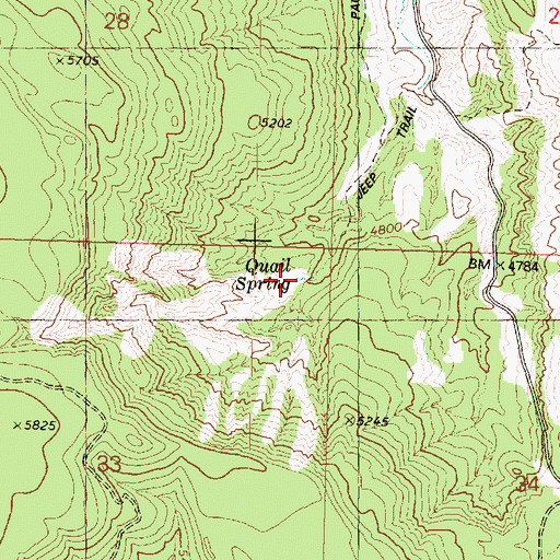 Topographic Map of Quail Spring, AZ