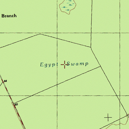 Topographic Map of Egypt Swamp, NC