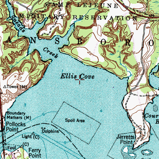 Topographic Map of Ellis Cove, NC
