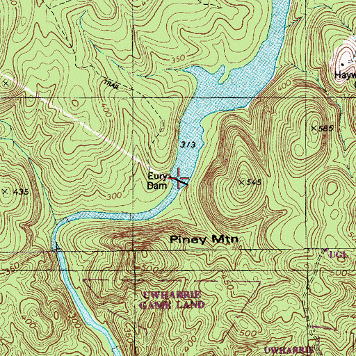 Topographic Map of Eury Dam, NC