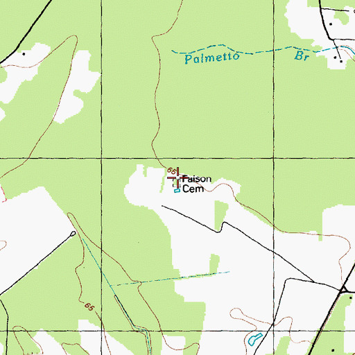 Topographic Map of Faison Cemetery, NC