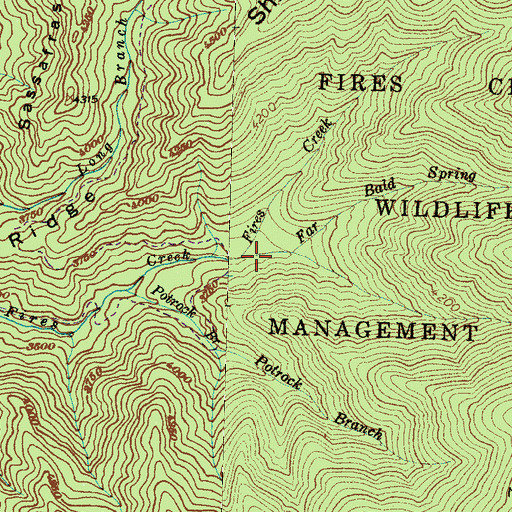 Topographic Map of Far Bald Spring Branch, NC