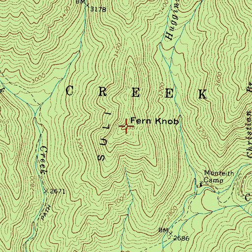 Topographic Map of Fern Knob, NC