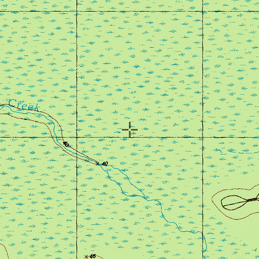 Topographic Map of First Cross Swamp, NC