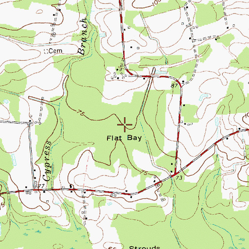 Topographic Map of Flat Bay, NC