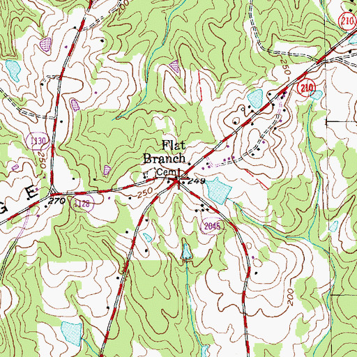 Topographic Map of Flat Branch, NC