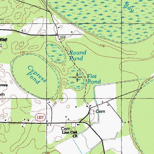 Topographic Map of Flat Pond, NC