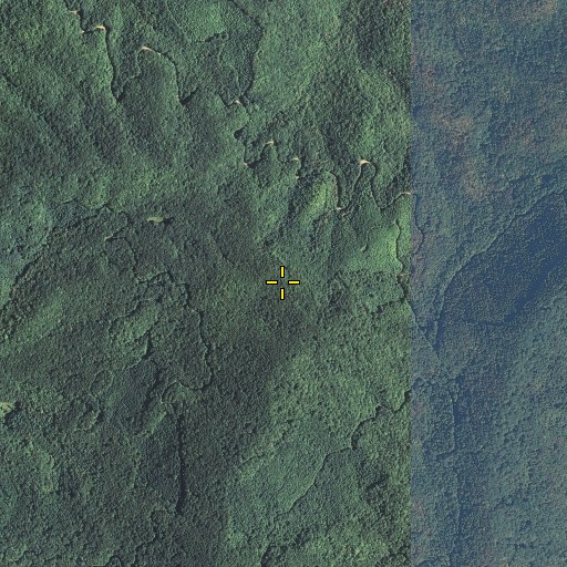 Aerial/Satellite Image of Flat Ridge, TN