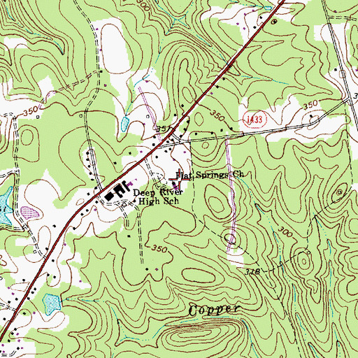 Topographic Map of Flat Springs Church, NC