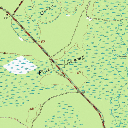 Topographic Map of Flat Swamp, NC