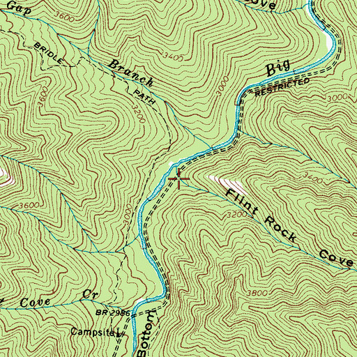 Topographic Map of Flint Rock Cove, NC