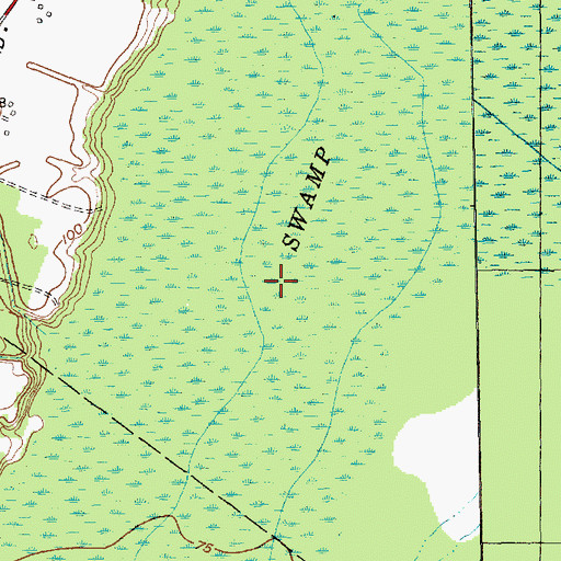 Topographic Map of Flowers Swamp, NC
