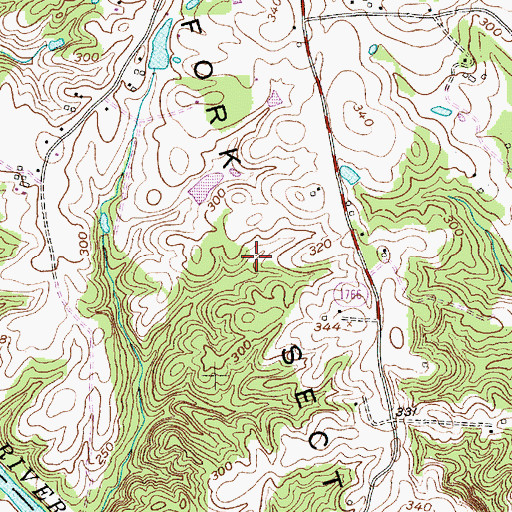Topographic Map of Fork Section, NC